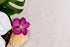 Wynn Resorts Cotton Bath Rugs